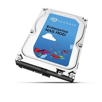 Seagate Disque Dur Entreprise NAS 6Tb + Rescue Data Recovery Service