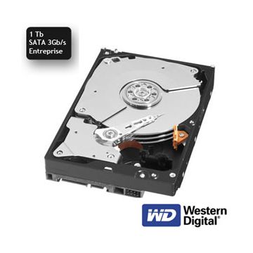 Western Digital Disque Entreprise SATA 3 Gb/s 1 Tb