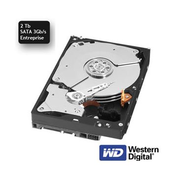 Western Digital Disque Entreprise SATA 3 Gb/s 2 Tb