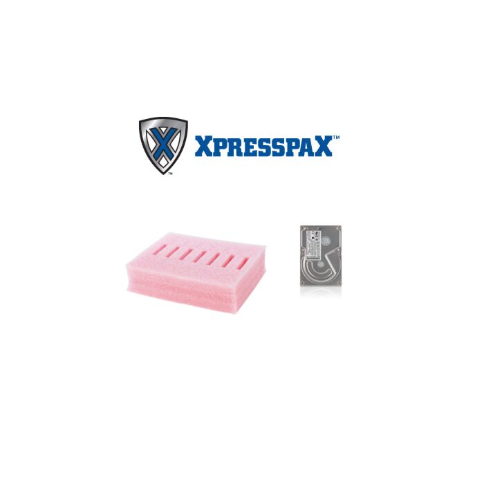 XpresspaX insert valise de transport pour disques durs